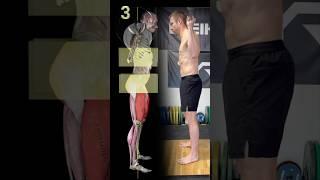 5 Key Points To A PERFECT Squat!