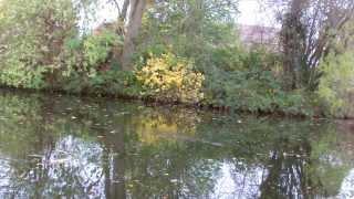 Pike float fishing on the canal - chrisnsamfishing