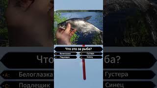 А вы правильно угадали?