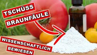 GEHEIMER TRICK gegen BRAUNFÄULE enthüllt! Warum DU JETZT deine TOMATEN damit einsprühen solltest ️