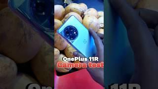 OnePlus 11R 5G camera test #oneplus#oneplusindia#oneplusnord#oneplus6#oneplus7pro