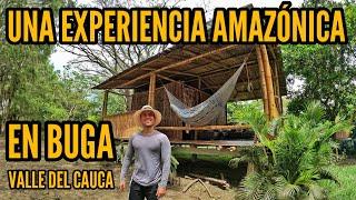 OSPREY ECOLODGE Una Experiencia Amazónica en BUGA Valle del Cauca 