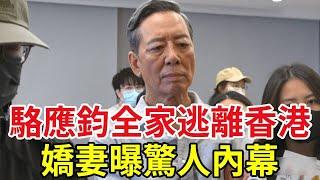 重磅！駱應鈞全家逃離香港！ 已經搬離住宅，嬌妻曝驚人內幕 #駱應鈞#TVB#黃金綠葉#娛記太太