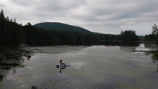 2 nights Stand up Paddleboarding in the Adirondacks with my dog