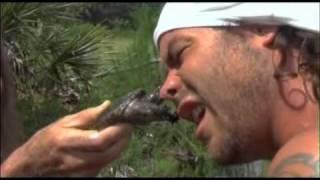 Wildboyz - Snapping Turtle