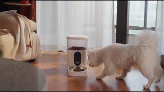 Homesmart.sg Aqara Smart Pet Feeder C1