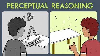 Perceptual Reasoning (Definition + Examples)