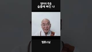 엄마의 죽음.  #법륜스님 #즉문즉설 #인생조언 #자기수행 #슬픔 #엄마