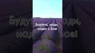 Що буде завтра? #вірші #поезіявільних #verseoftheday #verse #shorts #віршіукраїнською