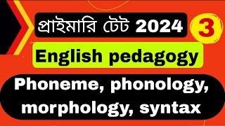 English pedagogy//phonology/ phoneme/ morphology/syntax//pragmatics//language characteristic/2024
