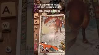 Charmed Tarot Druid Animals