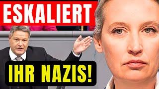 HABECK GREIFT AFD AN!  DANACH REICHTS ALICE WEIDEL!  AFD EKLAT GEHT GERADE ÜBERALL VIRAL