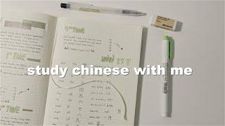 study mandarin chinese with me // from absolute beginner to still having no idea what i'm doing :D