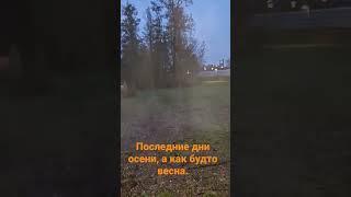 Поздняя осень как апрель.