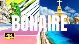 The Best of BONAIRE in a Half-Day Adventure [4K UHD]