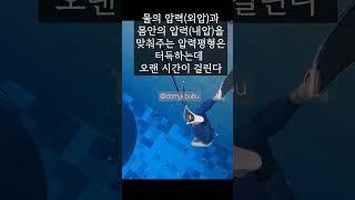 윤성빈님 프리다이빙 첫 체험 20M가 대박인이유