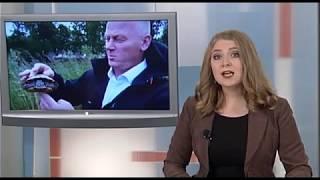 Новости Ника Плюс 4.08.17