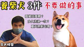 【避免這樣做】養柴犬必知的三個禁忌！｜柴犬柚醬 醬拔頻道｜