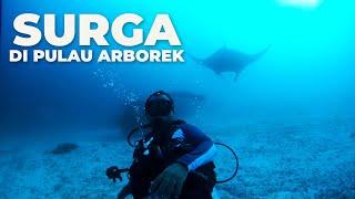 Ep.30 : SURGA!! Menikmati Keindahan Bawah Laut Pulau Arborek Raja Ampat