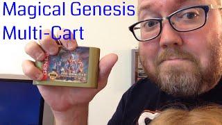 The MAGICAL Multi-Cart Sega Genesis Game!