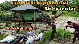 HARUS CEPAT PULANG..!! HUJAN DERAS LANGSUNG BANJIR, MEMBAWA BANYAK IKAN SEGAR