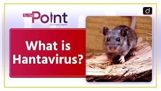 Hantavirus | Symptoms of Hantavirus Infection | To The Point | Drishti IAS English