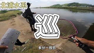 【北浦巡り】まだ動画で釣ってない場所を求めて！【バス釣り】