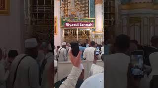 Riyazul jannah | jannat ka tukda Riyazul jannah | #hajj #makkah #shorts