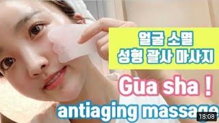 *sub) 괄사 경락️ 팔자주름, 광대 박살, 다크서클,브이라인, 눈가주름 완벽 뿌시기#DANIBEAUTY