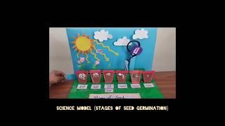 DIY science model #science #models #biology #scienceconcepts #youtubeshorts #trendingshorts #viral