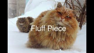 fluff piece