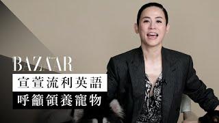 宣萱以流利英語建議領養代替購買寵物 Jessica Hsuan supports the pet adoption | speaking english | Harper's BAZAAR HK