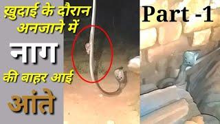 कोबरा की निकल आई आंते, खुदाई के दौरान हुआ हादसा |injured cobra snake rescue| cobra injured