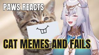 Paws Reacts to Funny Cat Memes and Fails | Funny Cat Compilation by FailArmy