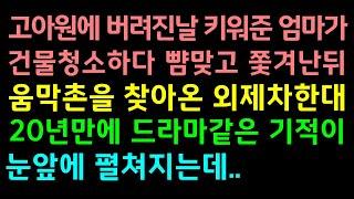 감동실화사연-고아원에 버려진 날 키워준 엄마가 건물청소하다 뺨맞고 쫓겨난뒤 움막촌을 찾아온 외제차 한대..20년만에 드라마 같은 기적이 눈앞에 펼쳐지는데_사연라디오썰맘/결혼시댁친정