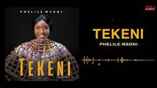 Tekeni - Phelile Msoni (Official Audio)