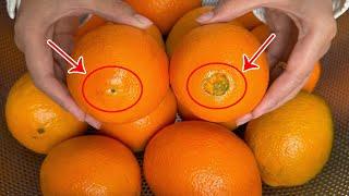 Smart Shoppers Avoid These 5 Types of Oranges! Even Vendors Won't Eat Them—Learn to Choose Wisely!