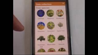 Myseasons: A phenology app for Smartphones