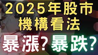 2025年股市機構看法，暴漲? 暴跌? 00878|0056|美債|佳能|興能高|偉訓|台積電|金融股|三大法人|投資理財|台幣|美元|存股|股票| 12/27/24【宏爺講股】