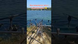#приколы #юмор #смешно #fishing #рыбалка #carpfishing #top #рекомендации