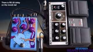 Beard Custom - Reverber (reverb guitar pedal with FX loop)