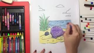 How to color a picture of a seashell scene at sea