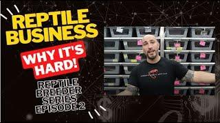 Why it's hard starting a Reptile Breeding Business! Reptile Breeder Series Episode #2