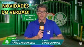 NOTÍCIAS DO VERDÃO!  Abel Ferreira, pede desculpa a indígenas por expressão xenofóbica em entrevista