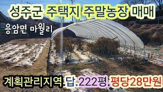 [4104] 성주땅매매. 성주군 용암면 마월리 주택지 주말농장 매매(222평) 평당28만원 [성주부동산]