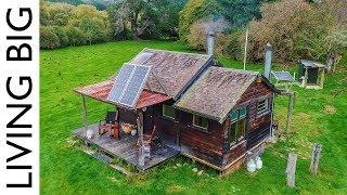 Off The Grid Cabin In New Zealand Paradise