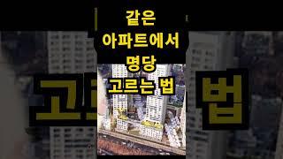 같은 아파트에서 돈방석 앉는 집 고르는 법 #아파트풍수