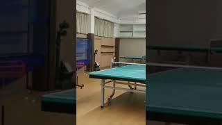 Coqui Niwa Coqui Nihwa #tabletennis #tabletennischannel #coqui-niwa Tabletennis #pingpong