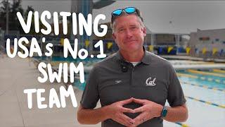 How Cal Swimmers Train to Win NCAA Championships