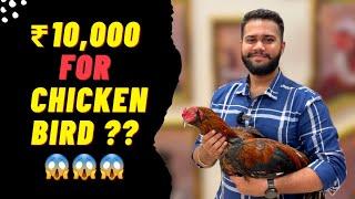 ₹10,000 For Chicken? | Free Range Chicken | Country Chicken Co | Nom Nom Foodie | Durgam Ruthwik